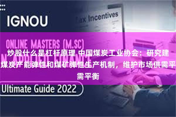 炒股什么是杠杆原理 中国煤炭工业协会：研究建立煤炭产能弹性和煤矿弹性生产机制，维护市场供需平衡