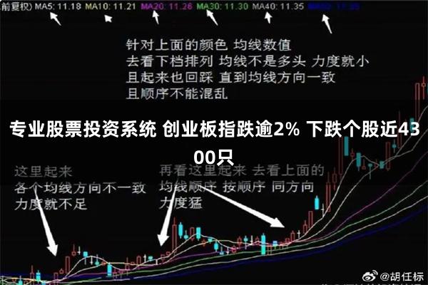 专业股票投资系统 创业板指跌逾2% 下跌个股近4300只