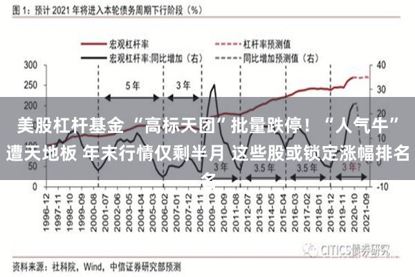 美股杠杆基金 “高标天团”批量跌停！“人气牛”遭天地板 年末行情仅剩半月 这些股或锁定涨幅排名