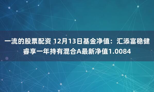 一流的股票配资 12月13日基金净值：汇添富稳健睿享一年持有混合A最新净值1.0084