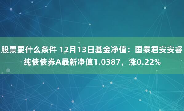 股票要什么条件 12月13日基金净值：国泰君安安睿纯债债券A最新净值1.0387，涨0.22%