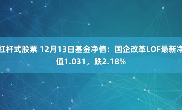 杠杆式股票 12月13日基金净值：国企改革LOF最新净值1.031，跌2.18%