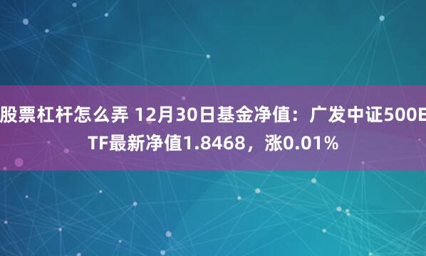 股票杠杆怎么弄 12月30日基金净值：广发中证500ETF最新净值1.8468，涨0.01%