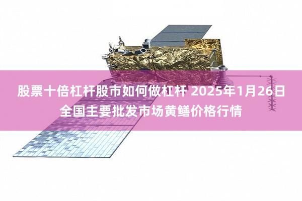 股票十倍杠杆股市如何做杠杆 2025年1月26日全国主要批发市场黄鳝价格行情