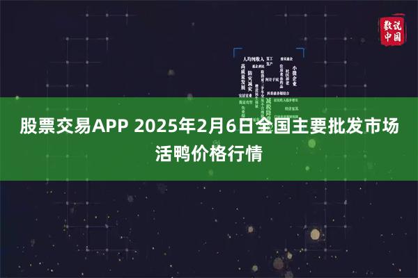 股票交易APP 2025年2月6日全国主要批发市场活鸭价格行情