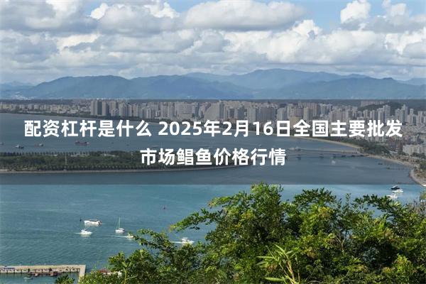 配资杠杆是什么 2025年2月16日全国主要批发市场鲳鱼价格行情