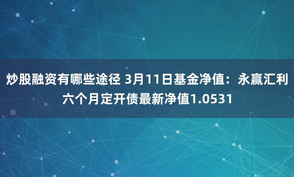 炒股融资有哪些途径 3月11日基金净值：永赢汇利六个月定开债最新净值1.0531